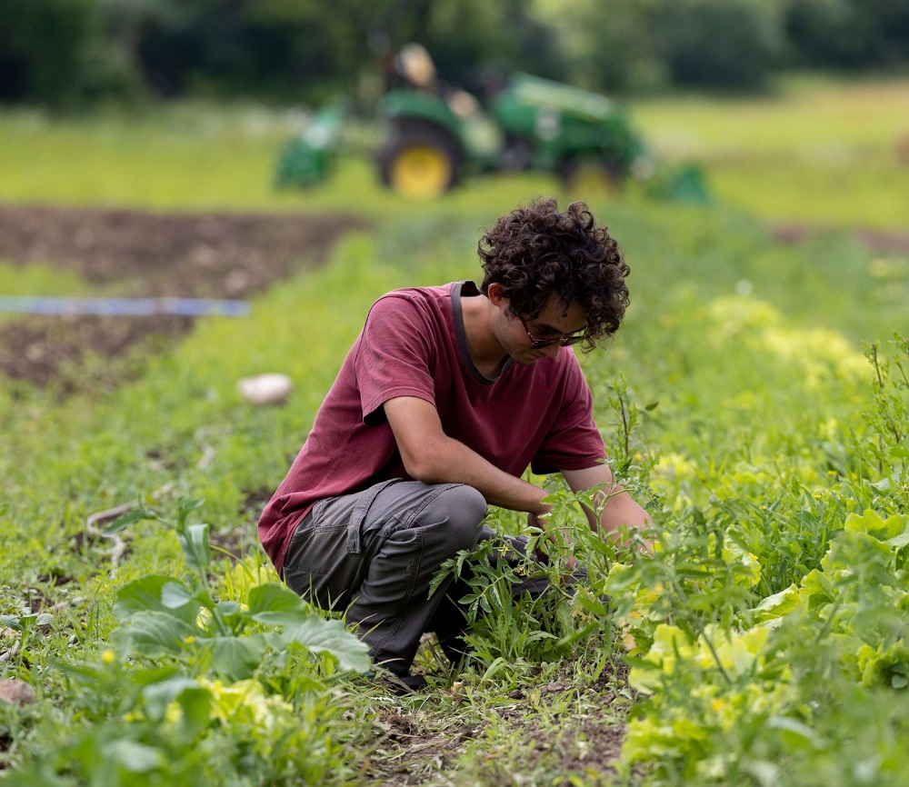 Trent Farm Leads Way for Momentous Climate-Smart Agriculture