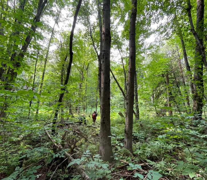 Group of 4 at Lightbody Drive Shed