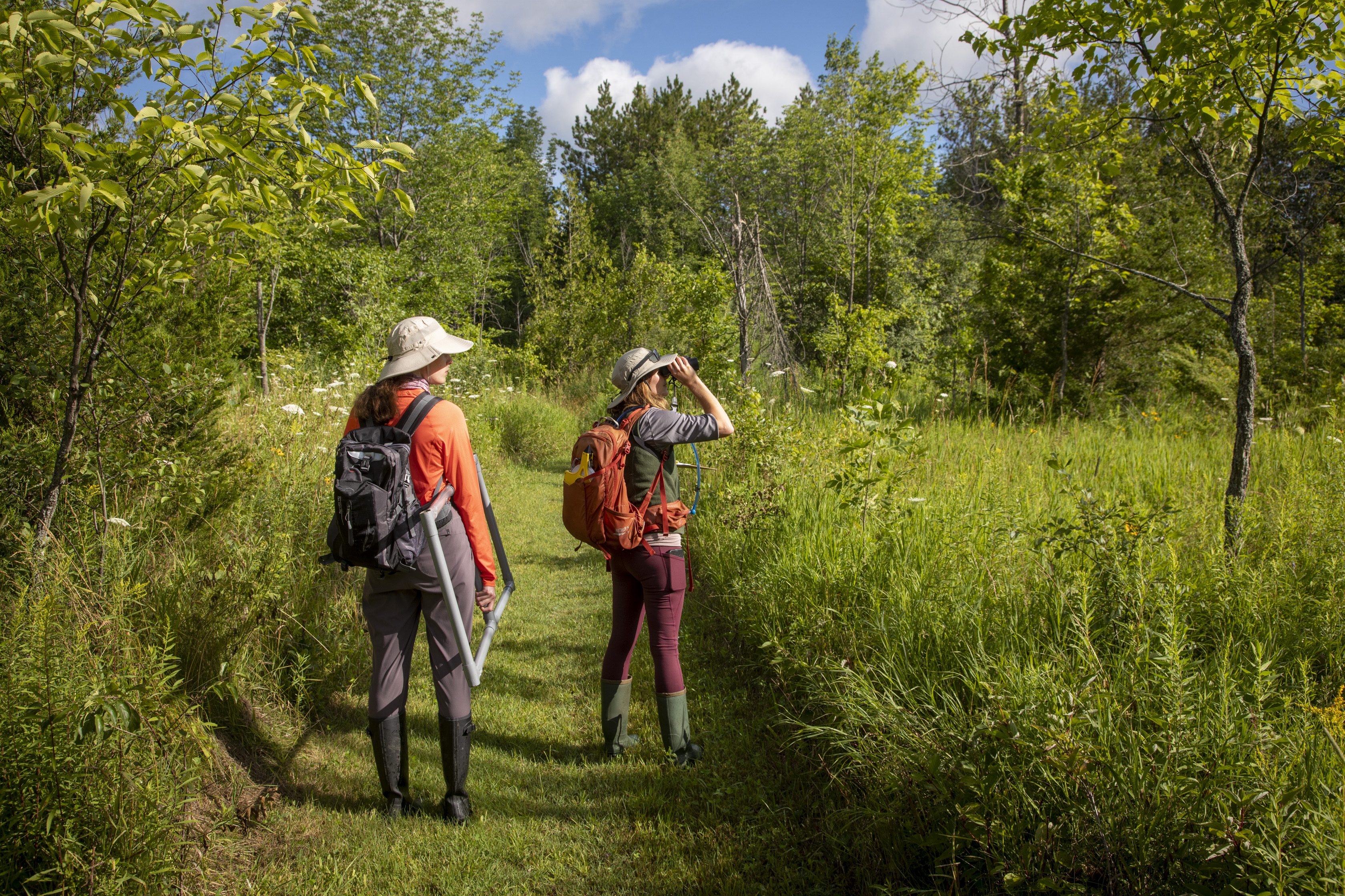 Two individuals walking along a trail