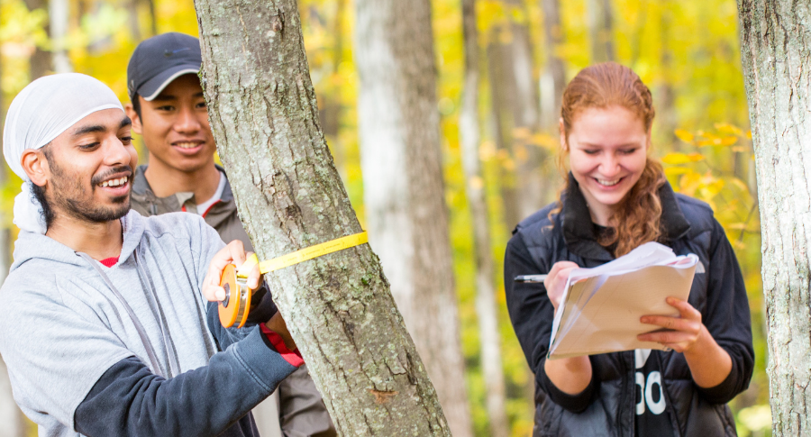 A group of people standing in the forest