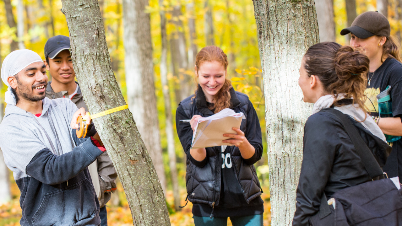 A group of people standing in the forest
