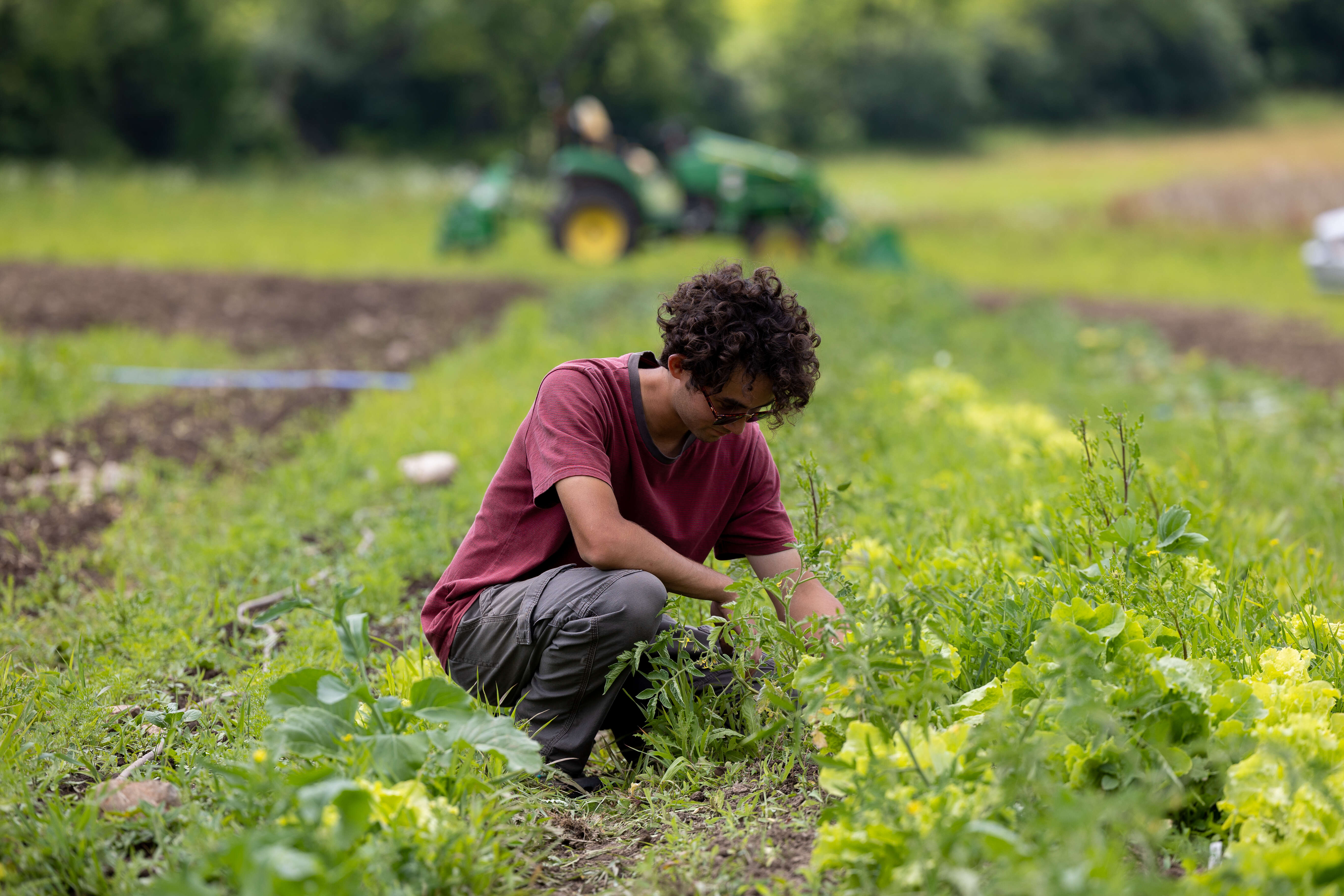 A guy doing research on the farm