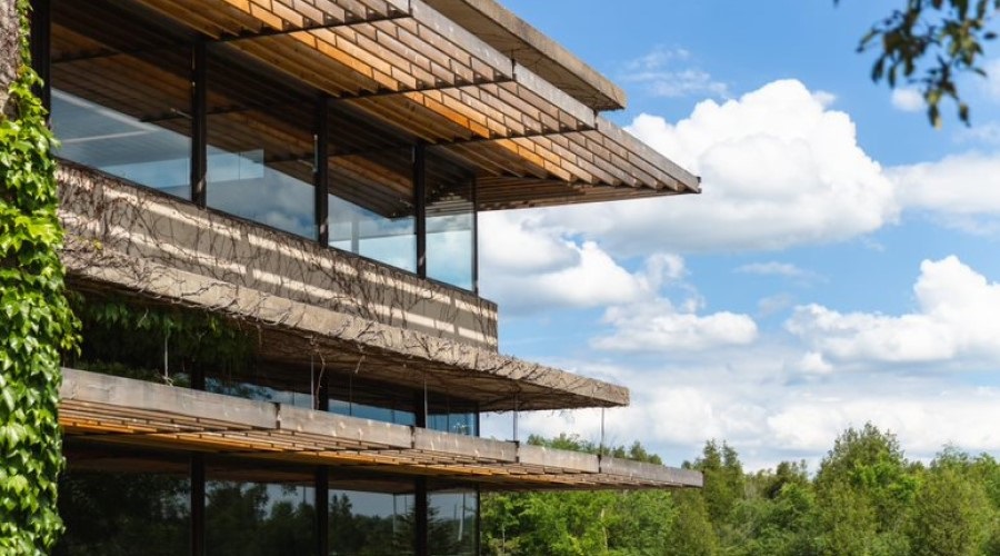 An image of Bata Library