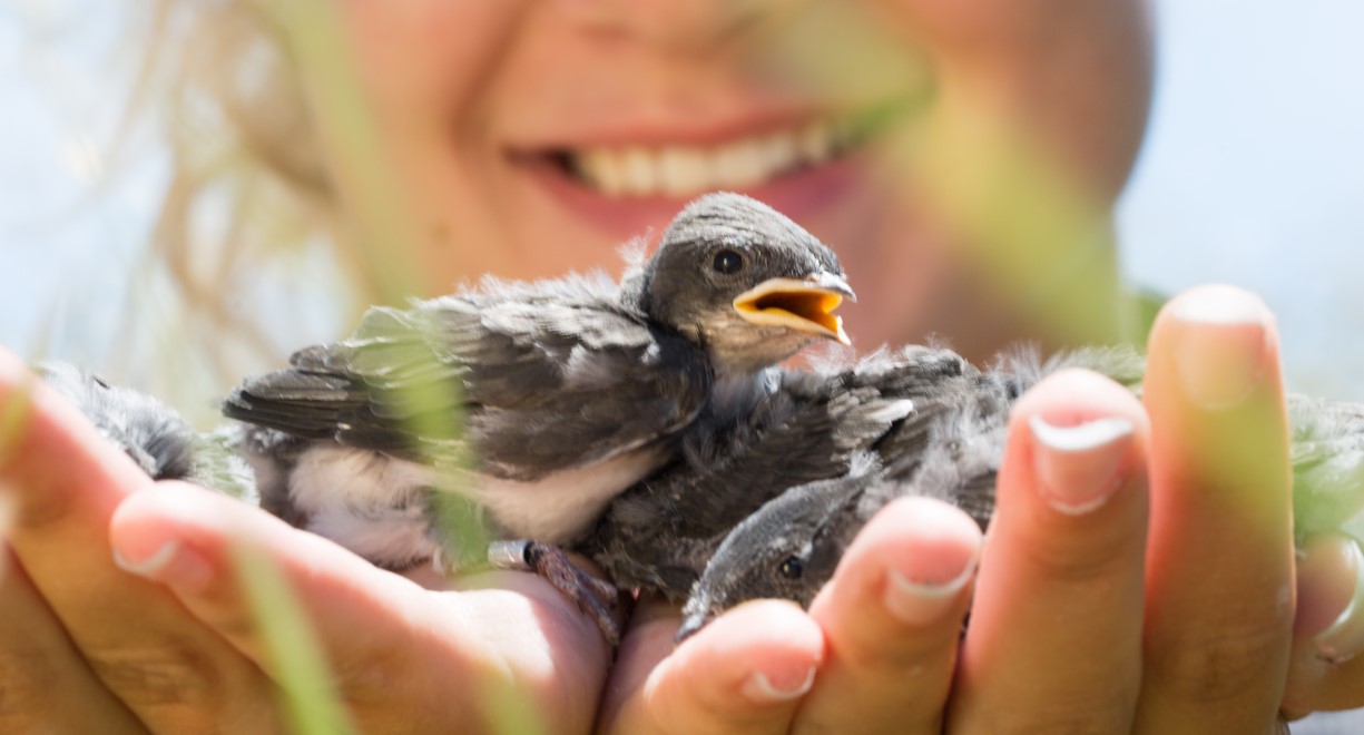 A bird in a woman's hand